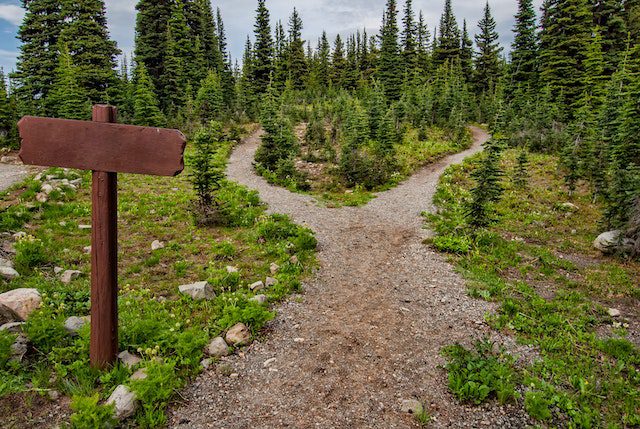 Navigating Donor Cultivation: Insights from Trail Runs and Transformative Gifts